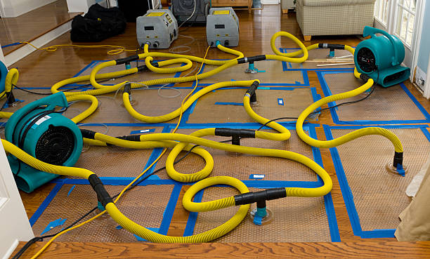 Professional Sewage Cleanup technician working in University Center, VA